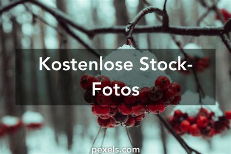 bilder kostenlos herunterladen|Stock Fotos, Lizenzfreie Bilder & Kostenlose Bilder